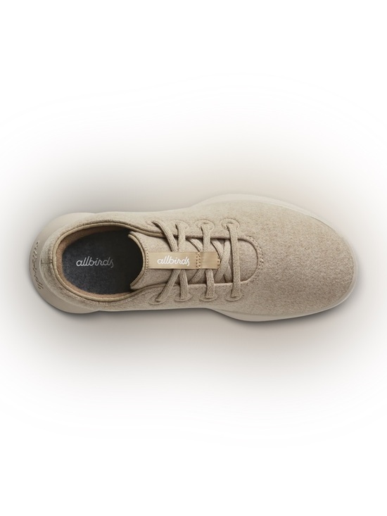 allbirds Other - Allbirds Wool Runner Go size 9.5